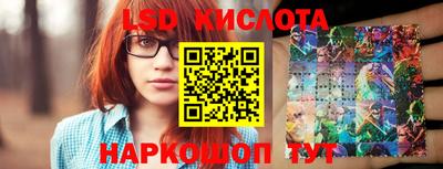 гашик Сланцы