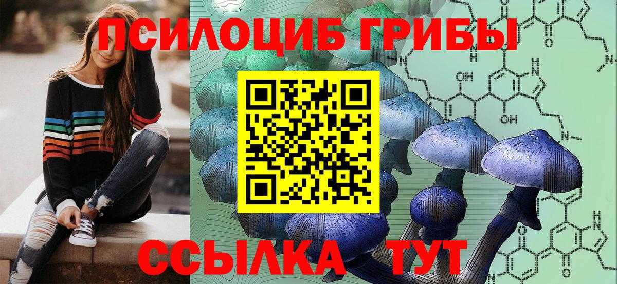 Псилоцибиновые грибы Psilocybine cubensis Новосибирск