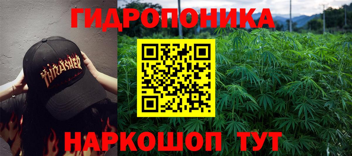 Шишки марихуана Amnesia Новосибирск