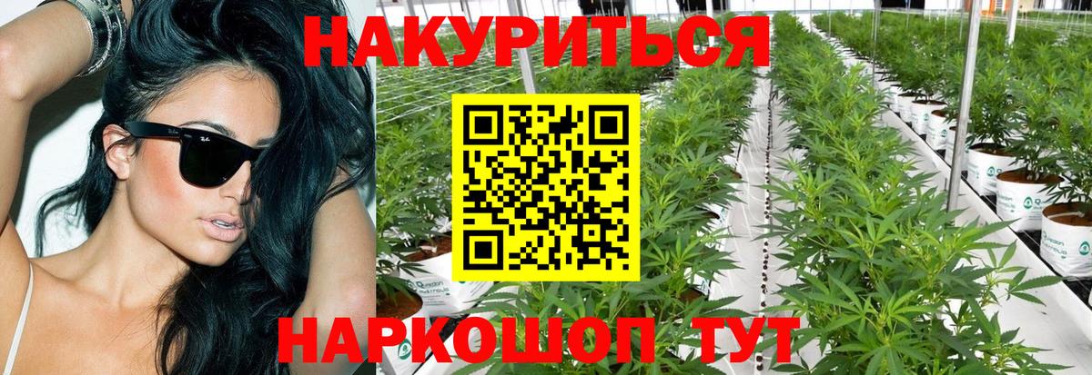 Шишки марихуана семена  Марихуана MAZAR  Вход с VPN  Новосибирск 